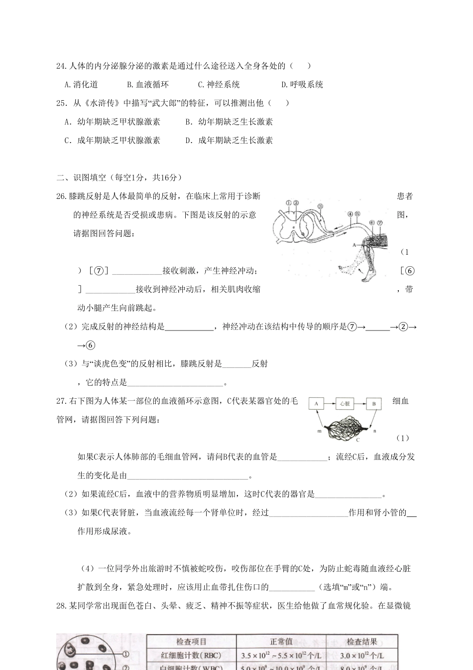 人教版生物八年级上册期中测试卷13含答案含答案.pdf_第3页
