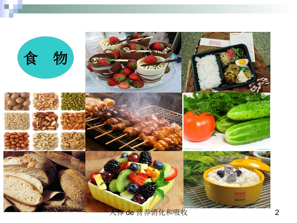 人体的营养消化和吸收培训课件.pptx_第2页