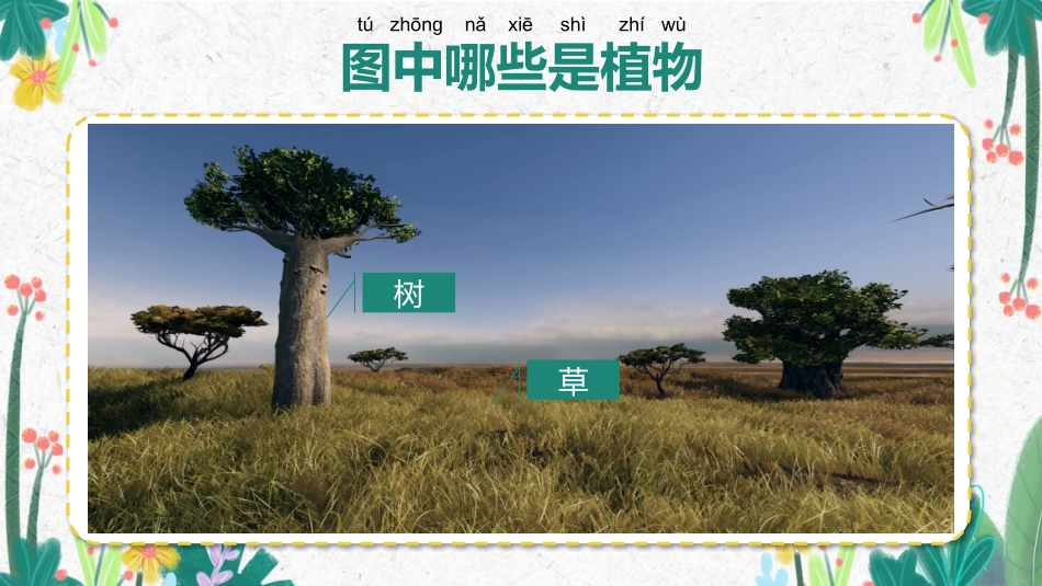 科版一年级科学上册《我们知道的植物》课件8.pptx_第2页