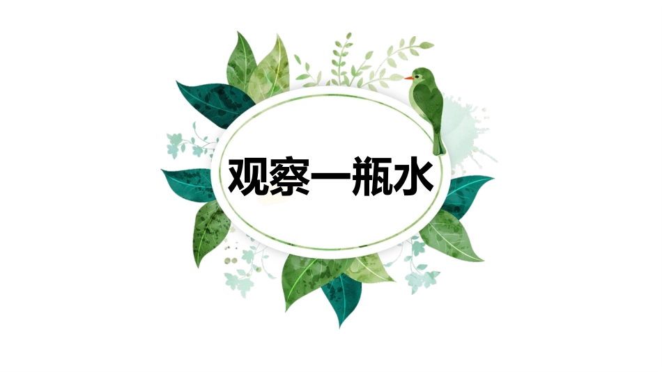 教科版一年级科学下册《观察一瓶水》课件1.pptx_第1页