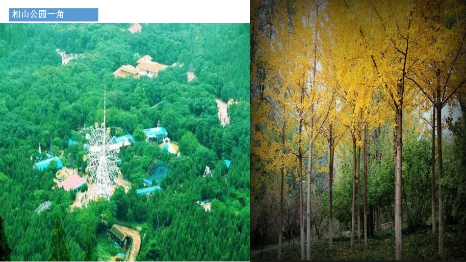 科版一年级科学上册《我们知道的植物》课件9.pptx_第2页