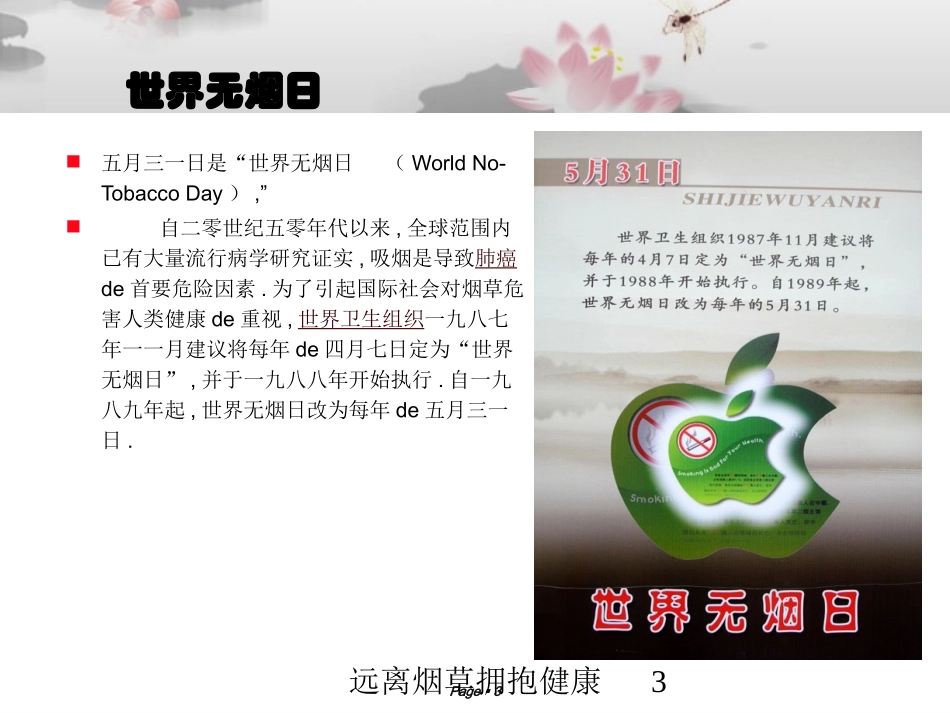 远离烟草拥抱健康培训课件.pptx_第3页
