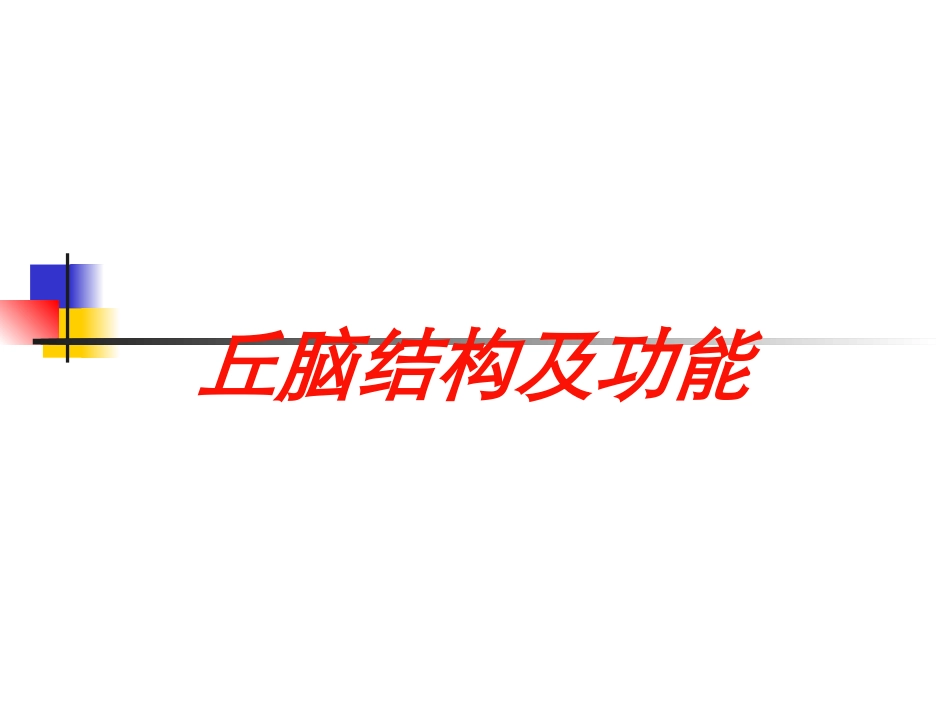 丘脑结构及功能培训课件.pptx_第1页