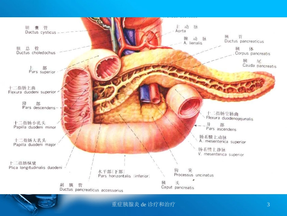 重症胰腺炎的诊疗和治疗培训课件.pptx_第3页