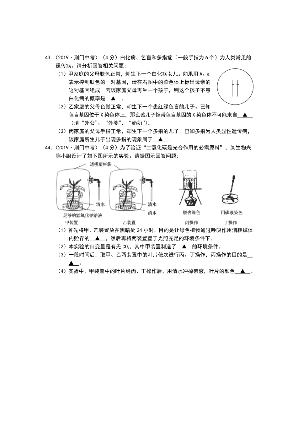 2019年湖北省荆门市中考生物试卷Word版，含解析.pdf_第3页