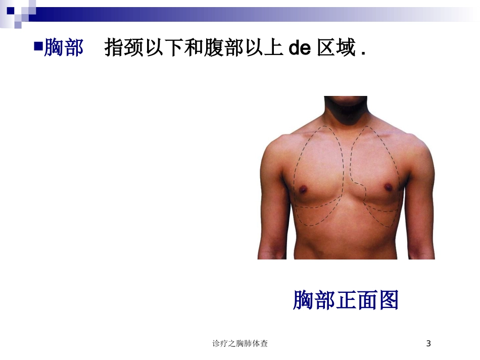 诊疗之胸肺体查培训课件.pptx_第3页