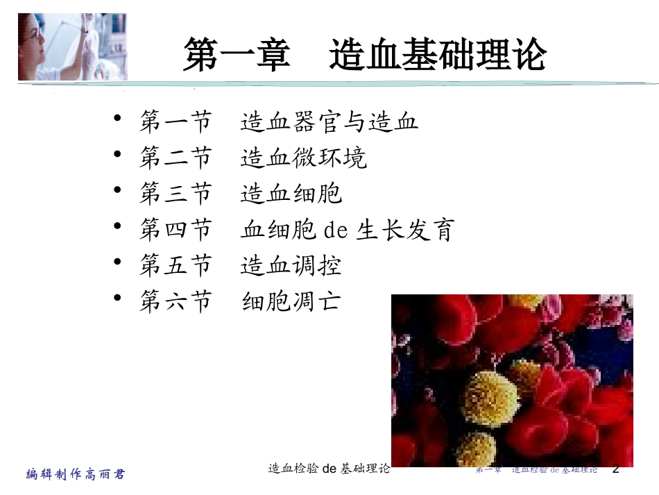 造血检验的基础理论培训课件.pptx_第2页