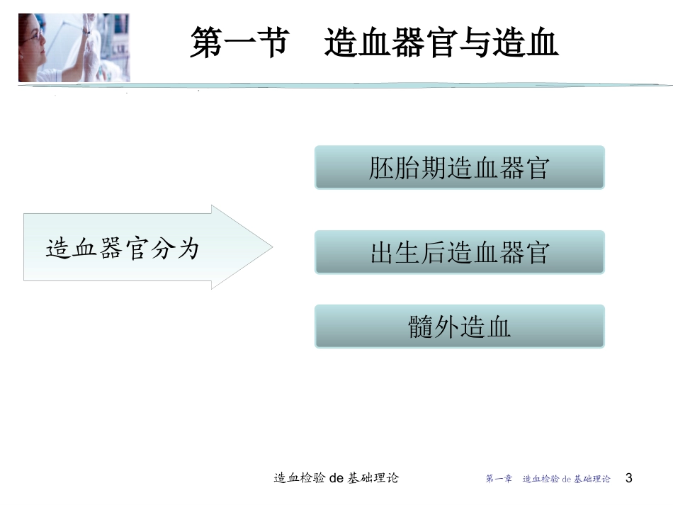 造血检验的基础理论培训课件.pptx_第3页