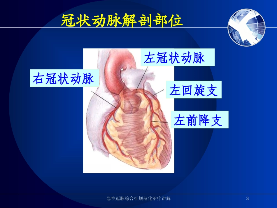急性冠脉综合征规范化治疗讲解培训课件.pptx_第3页