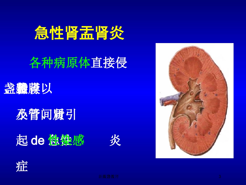 急性肾盂肾炎新版培训课件.pptx_第3页