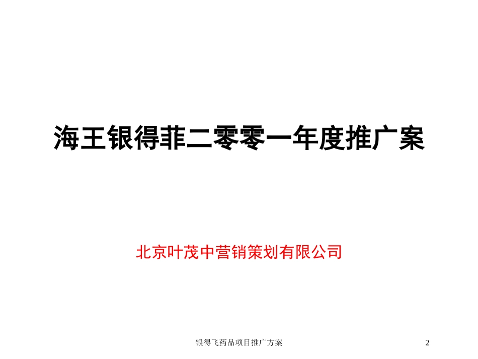 银得飞药品项目推广方案培训课件.pptx_第2页