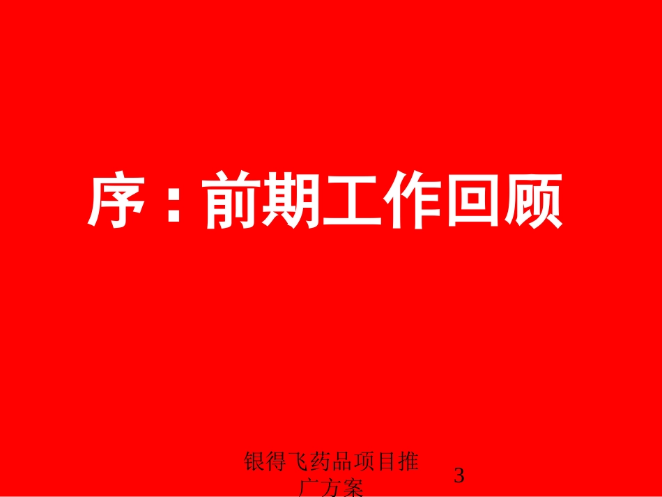 银得飞药品项目推广方案培训课件.pptx_第3页