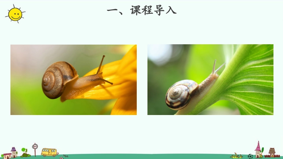 教科版一年级科学下册《观察一种动物》8.pptx_第2页