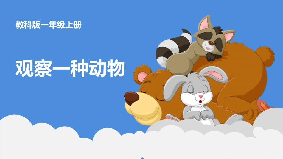 教科版一年级科学下册《观察一种动物》7.pptx_第1页