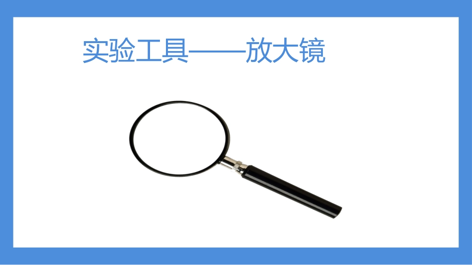 教科版一年级科学下册《观察一种动物》7.pptx_第3页
