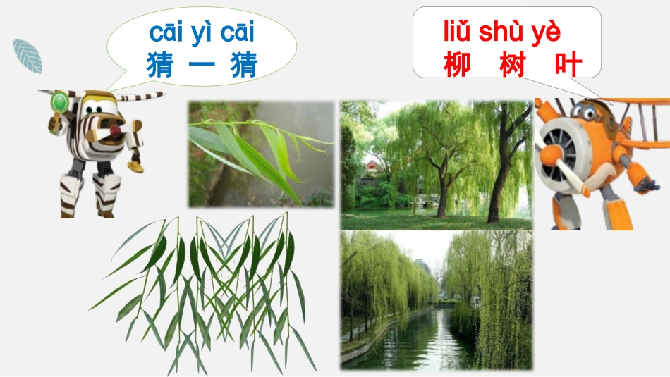 科版一年级科学上册《这是谁的叶_》教学课件6.pptx_第3页