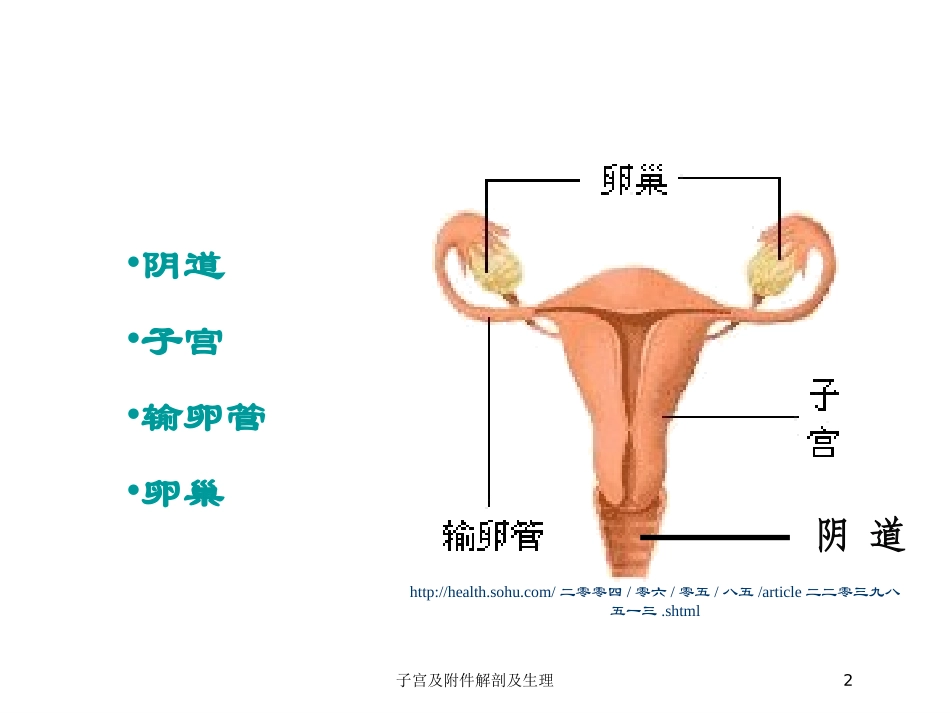 子宫及附件解剖及生理培训课件.pptx_第2页