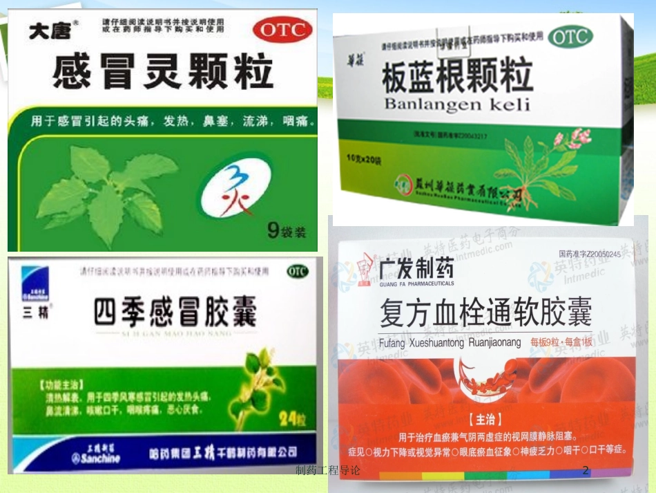 制药工程导论培训课件.pptx_第2页