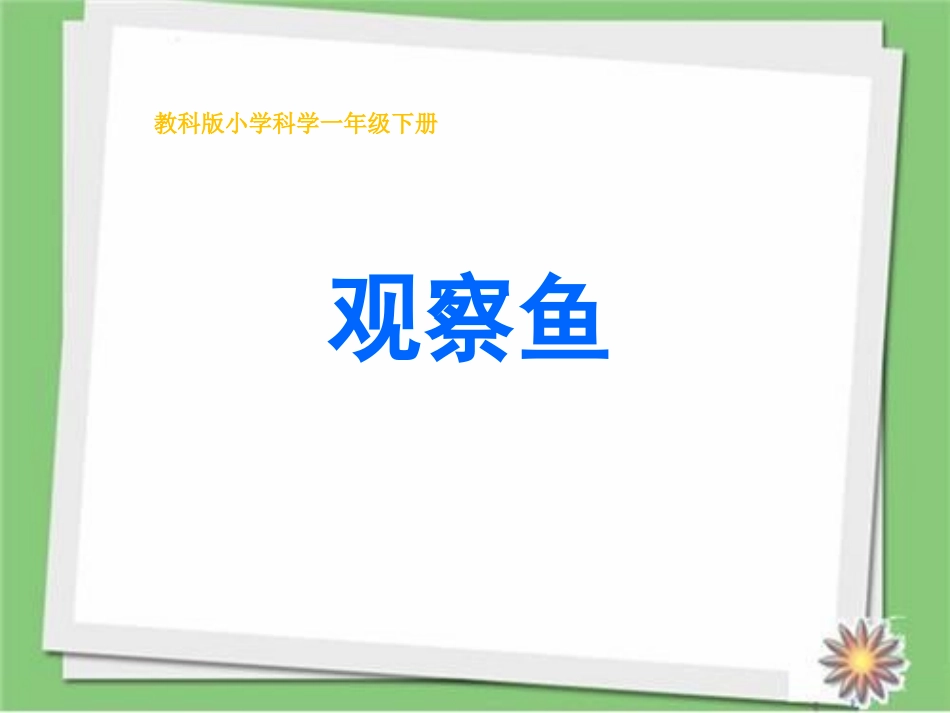 教科版一年级科学下册《观察鱼》6.pptx_第1页