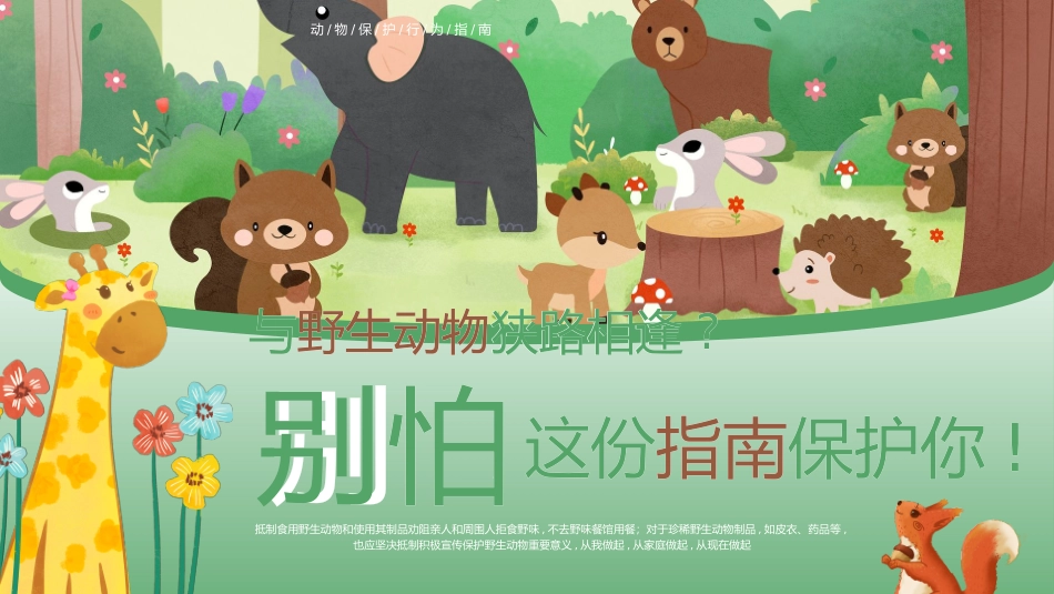 动物日保护野生濒危动物58.pptx_第1页
