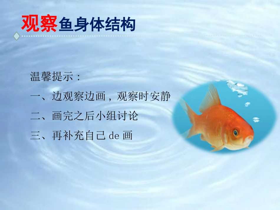 教科版一年级科学下册《观察鱼》5.pptx_第3页