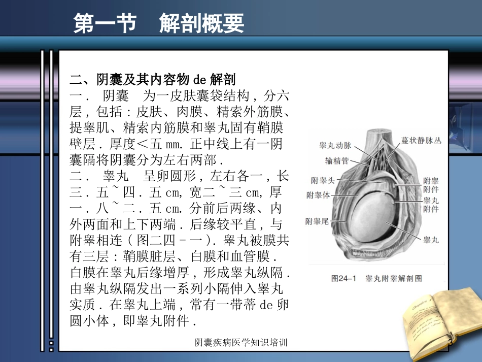 阴囊疾病医学知识培训培训课件.pptx_第3页