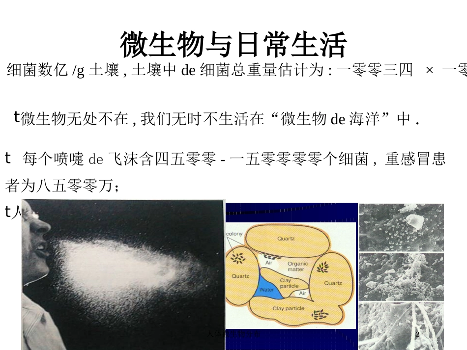 人体微生物分布培训课件.pptx_第2页