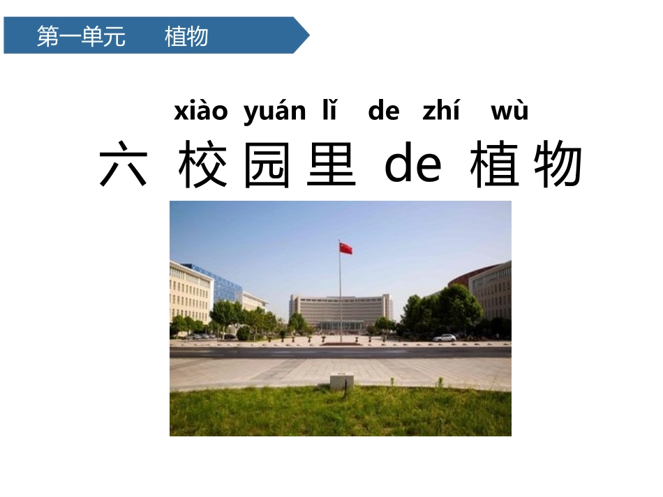 科版一年级科学上册《校园里的植物》课件4.pptx_第1页