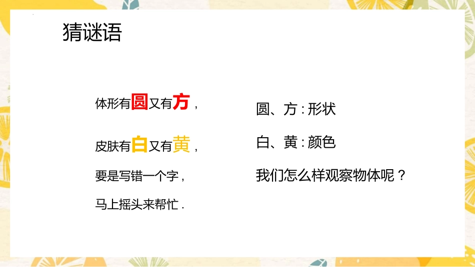 教科版一年级科学下册《发现物体的特征》课件1.pptx_第3页