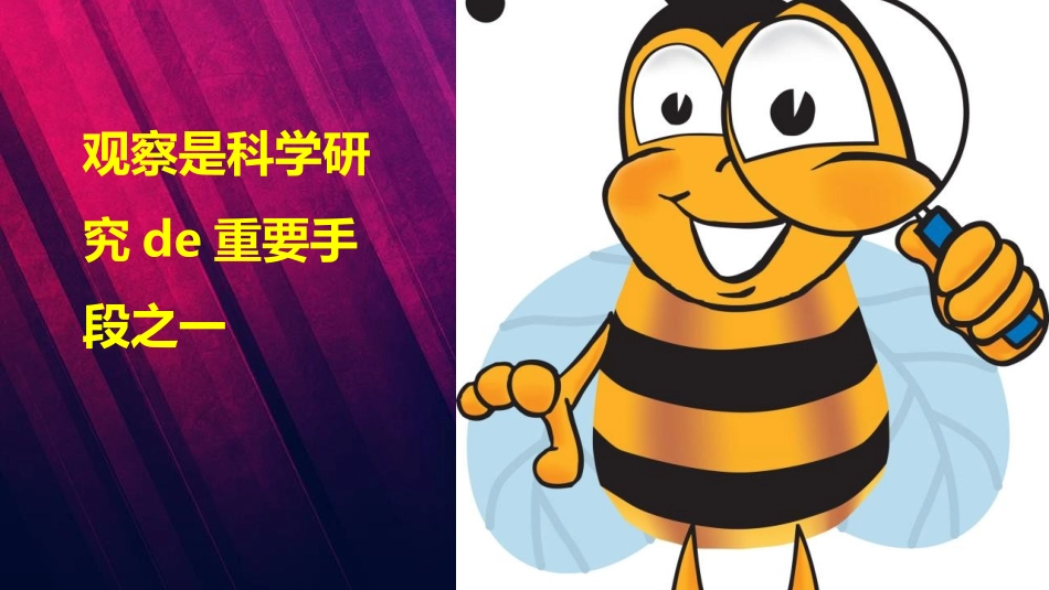 教科版一年级科学下册《发现物体的特征》课件5.pptx_第2页