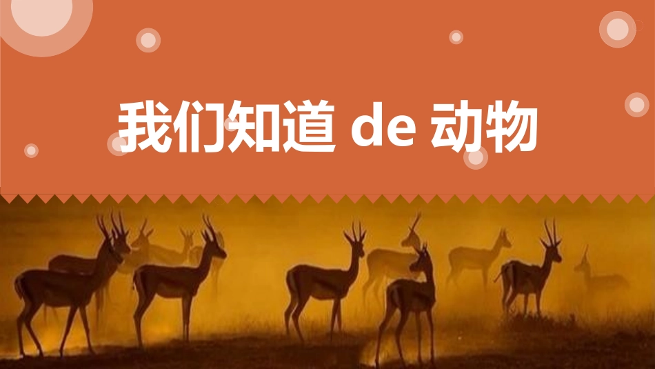 教科版一年级科学下册《我们知道的动物》4.pptx_第1页