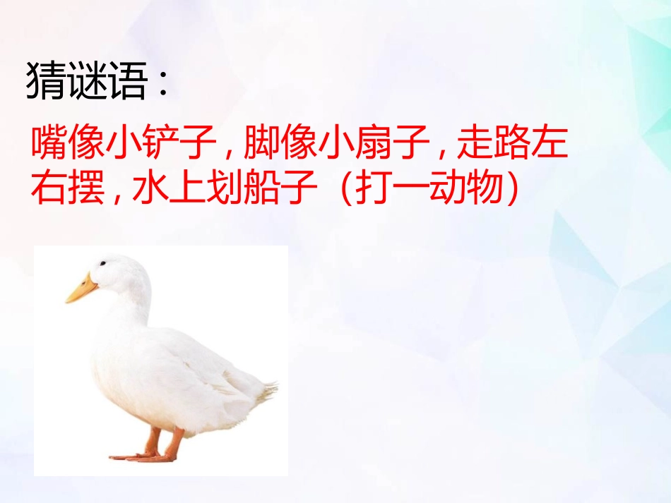 教科版一年级科学下册《给动物分类》课件5.pptx_第2页