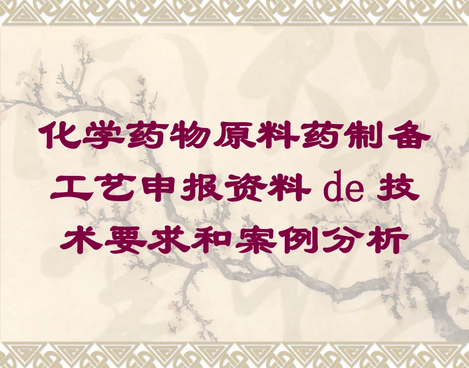 化学药物原料药制备工艺申报资料的技术要求和案例分析培训课件.pptx_第1页