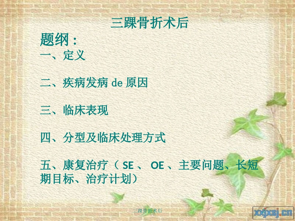 三踝骨折术后培训课件.pptx_第2页