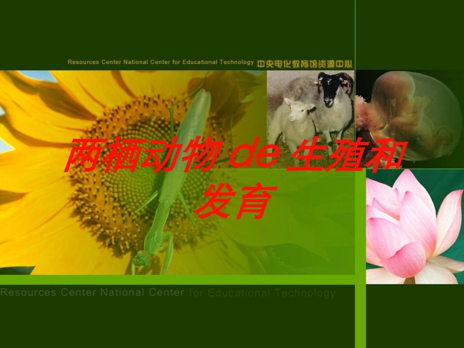 两栖动物的生殖和发育培训课件.pptx_第1页