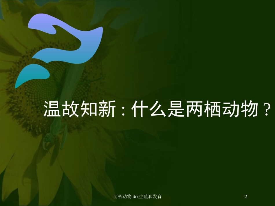 两栖动物的生殖和发育培训课件.pptx_第2页