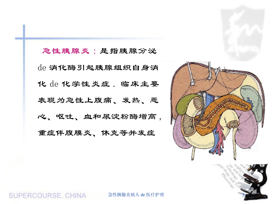 急性胰腺炎病人的医疗护理培训课件.pptx_第3页