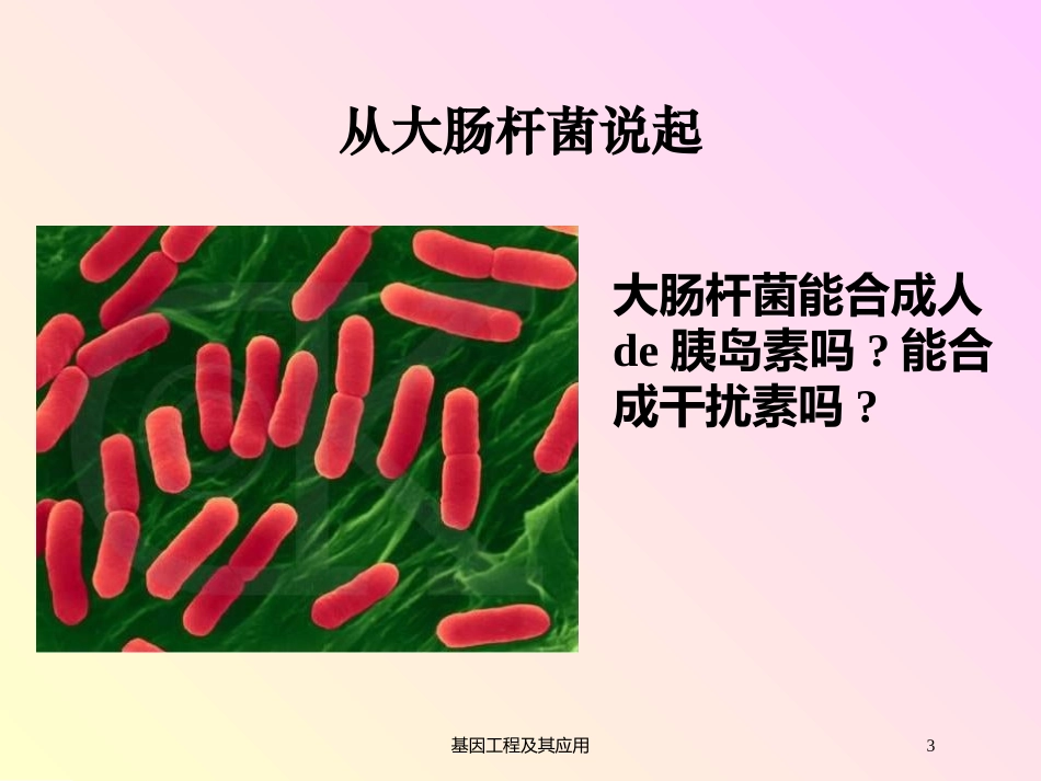 基因工程及其应用培训课件.pptx_第3页