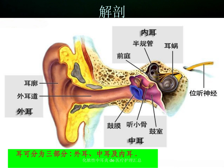 化脓性中耳炎的医疗护理汇总培训课件.pptx_第2页
