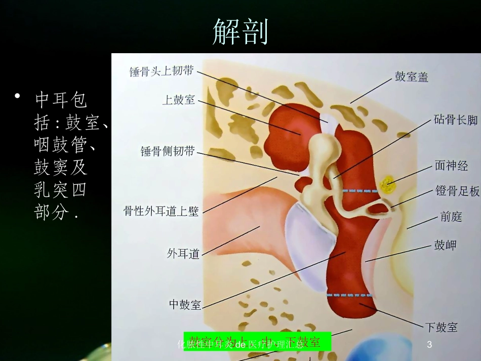 化脓性中耳炎的医疗护理汇总培训课件.pptx_第3页