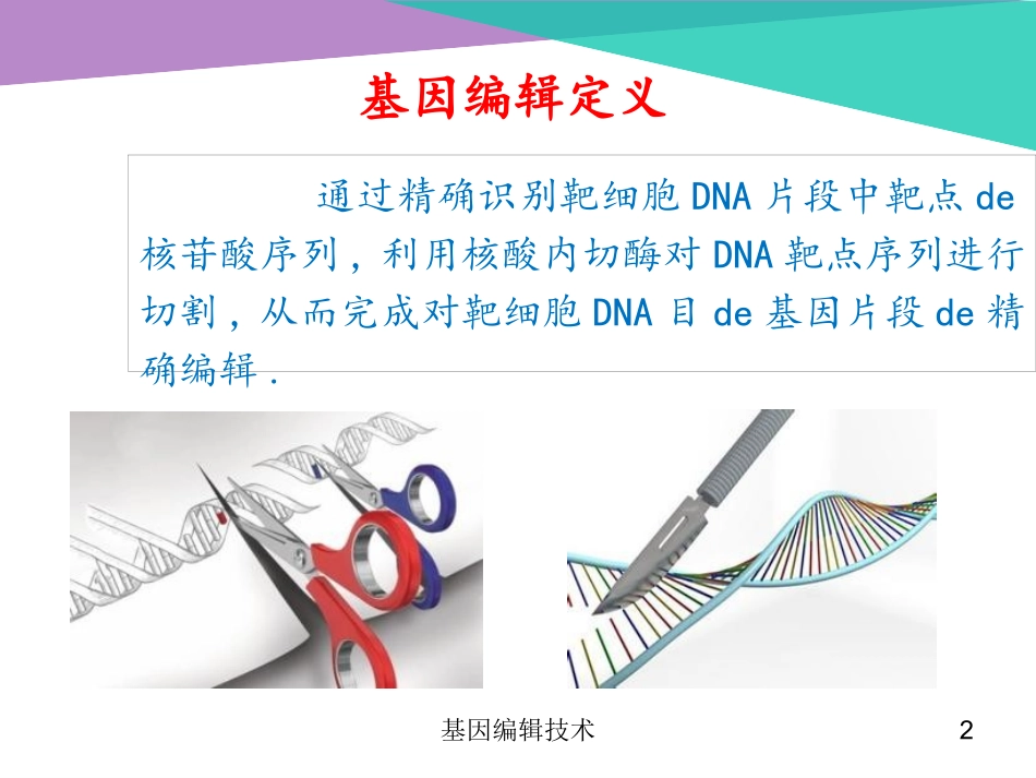 基因编辑技术培训课件.pptx_第2页