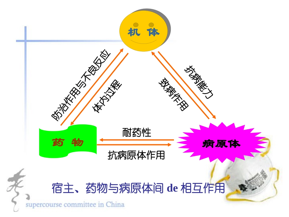 化学治疗药物培训课件.pptx_第3页