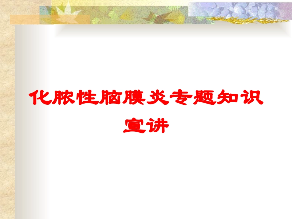化脓性脑膜炎专题知识宣讲培训课件.pptx_第1页