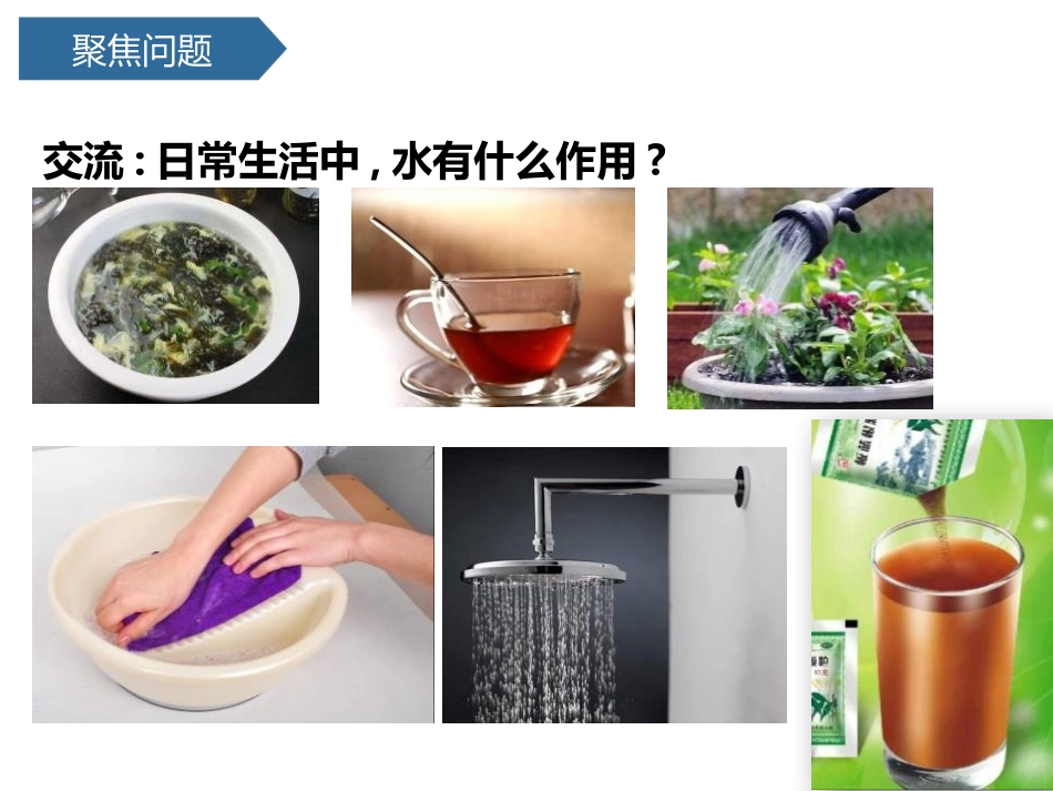 教科版一年级科学下册《它们去哪了》课件4.pptx_第3页