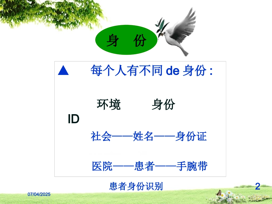 患者身份识别培训课件.pptx_第2页