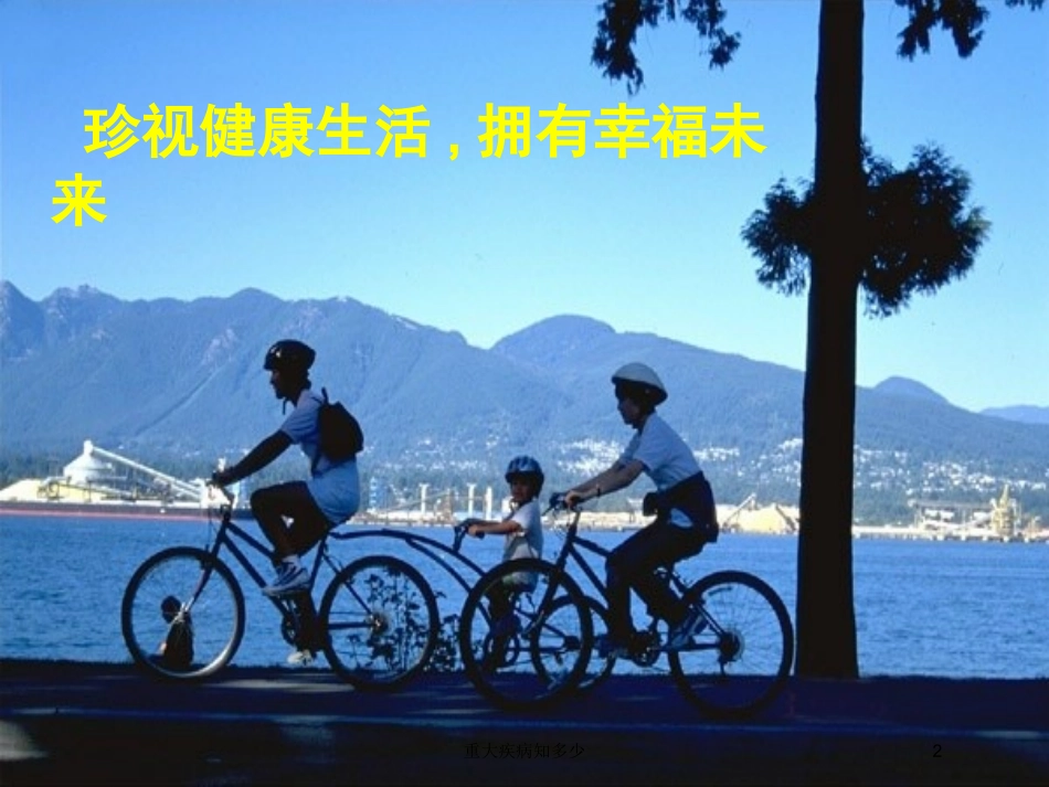 重大疾病知多少培训课件.pptx_第2页