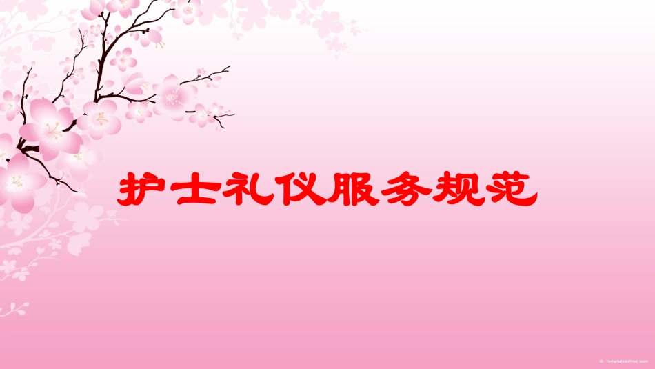 护士礼仪服务规范培训课件.pptx_第1页