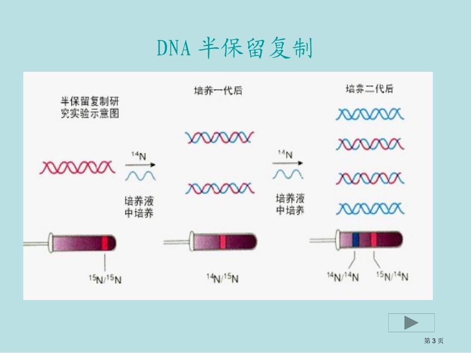 组成生物体的大小分子名师优质课赛课一等奖市公开课获奖课件.pptx_第3页