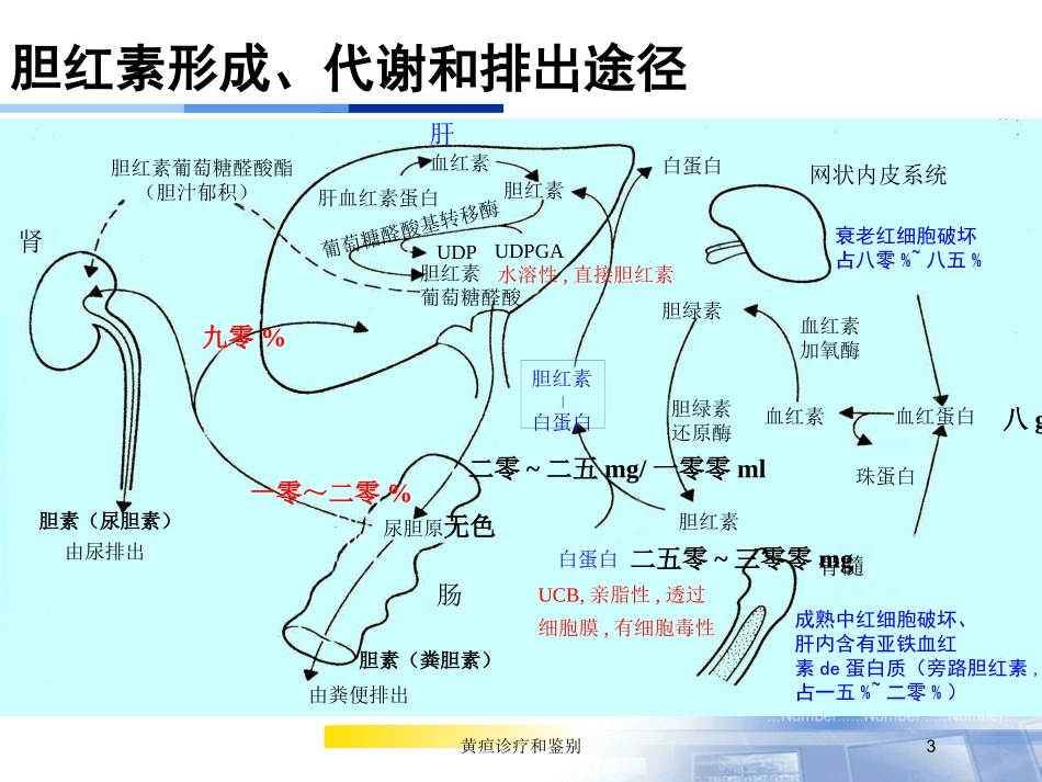 黄疸诊疗和鉴别培训课件.pptx_第3页
