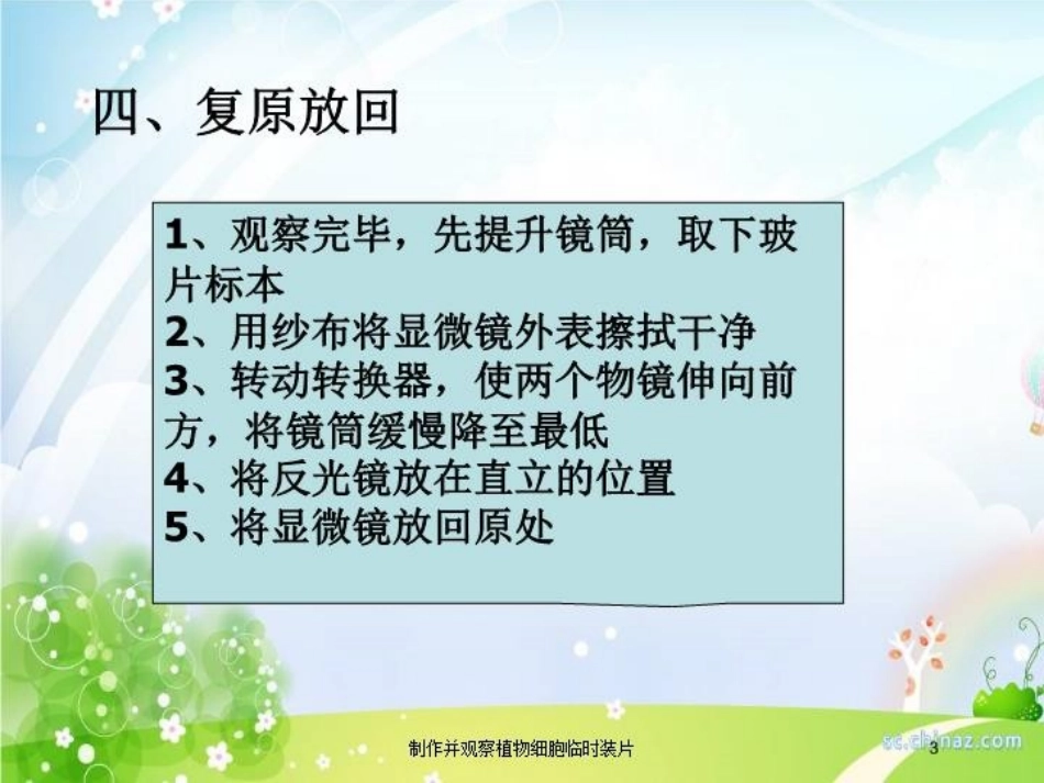 制作并观察植物细胞临时装片培训课件.pptx_第3页